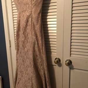 Lace Gown. Never worn